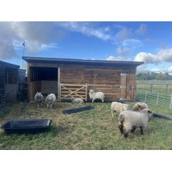24ft x 12ft shelter and storage tack room
