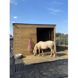 Standard Field Shelter 12ft x 12ft 